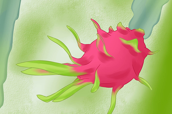 �Ժ��Ļ������ϻ��� ���Ļ������Ľ�����ʲô